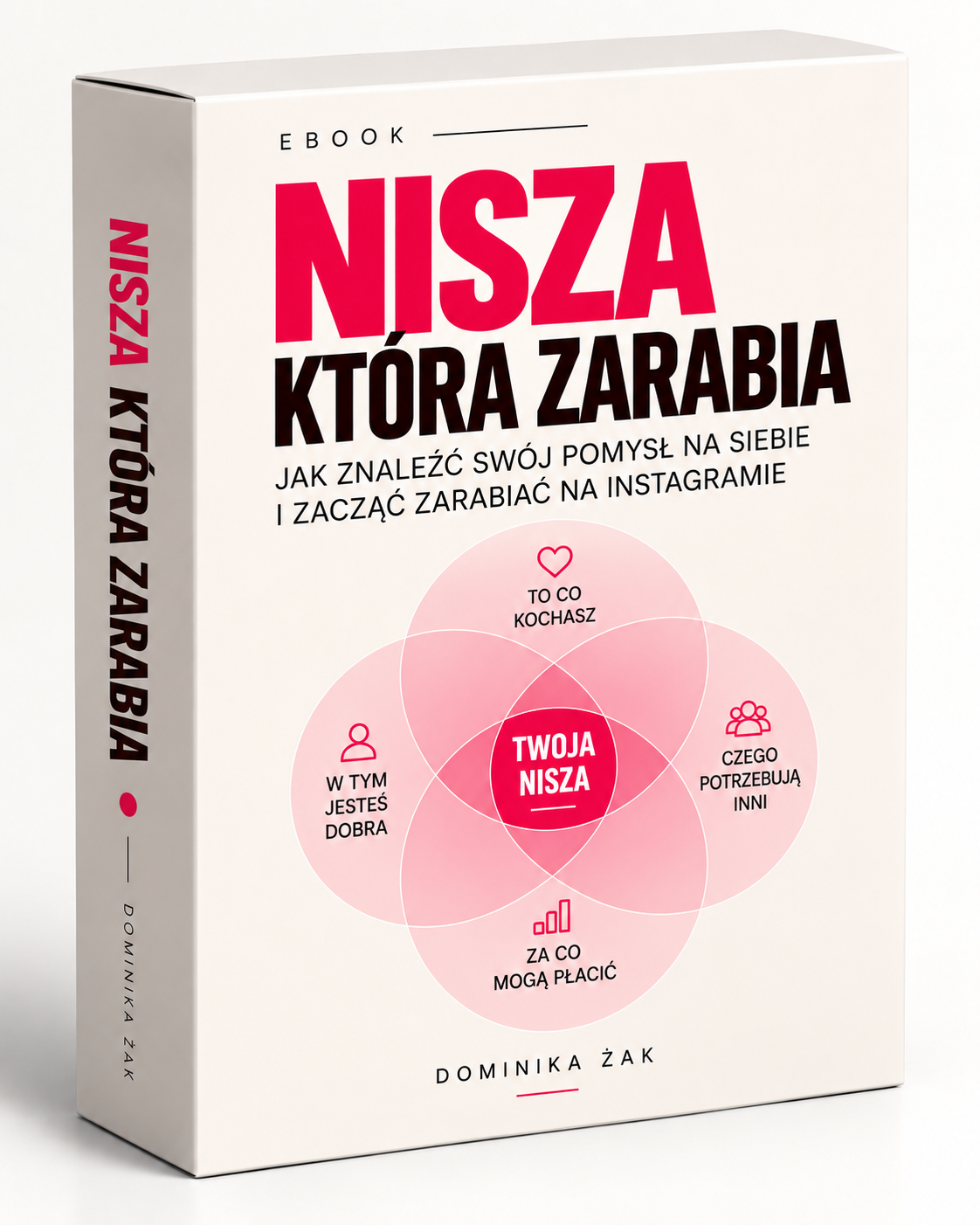 Zdjęcie produktu Nisza, która zarabia